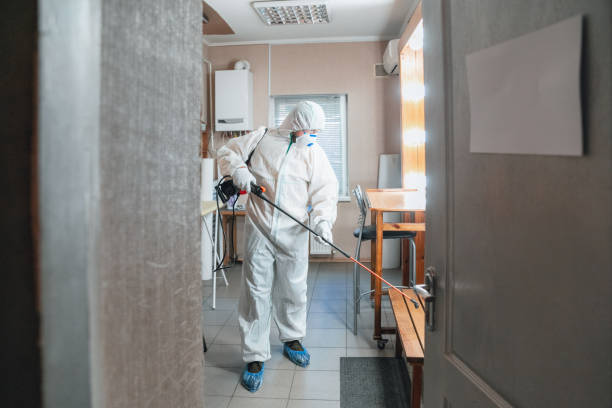 Best Residential Mold Inspection & Testing  in Nashville, IN
