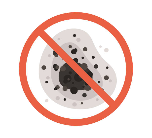 Mold Remediation for Rental Properties in Nashville, IN
