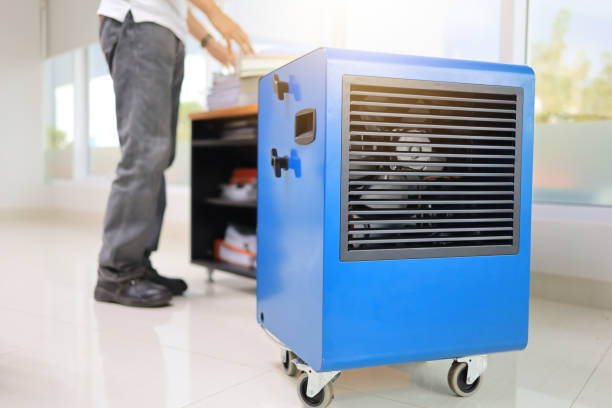 Best HVAC Mold Inspection and Cleaning  in Nashville, IN