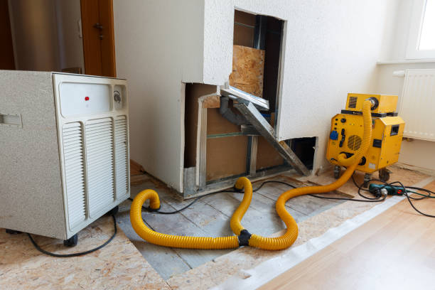 Best Emergency Mold Remediation  in Nashville, IN