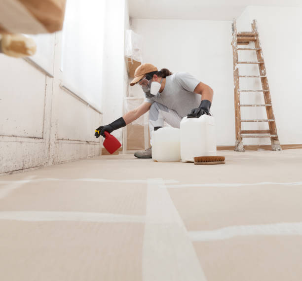 Best Mold Removal for HVAC Installations  in Nashville, IN