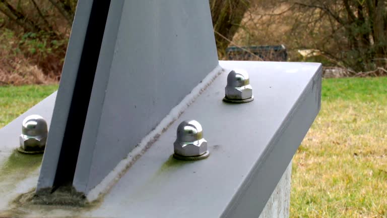 Best Mold Damage Restoration  in Nashville, IN