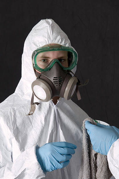 Reliable Nashville, IN Mold Removal Solutions